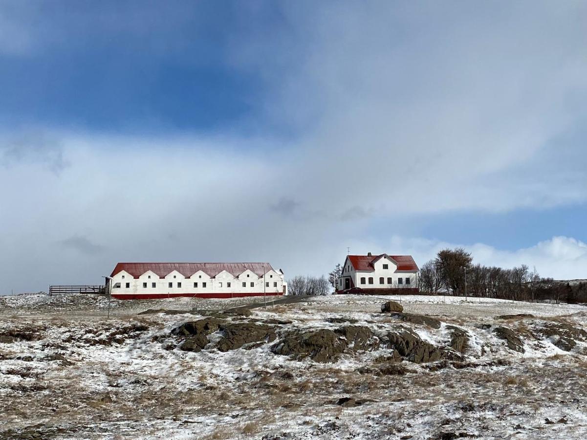 Helluland Guesthouse Saudarkrokur 외부 사진