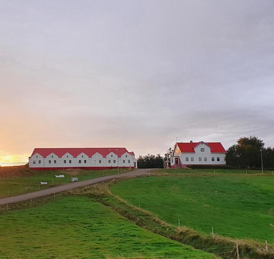 Helluland Guesthouse Saudarkrokur 외부 사진
